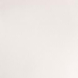 Winsor & Newton Professional Watercolour HALF PANS