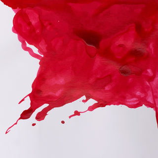 Winsor & Newton Drawing Ink