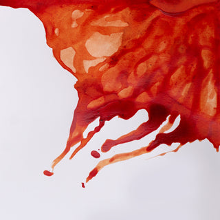 Winsor & Newton Drawing Ink