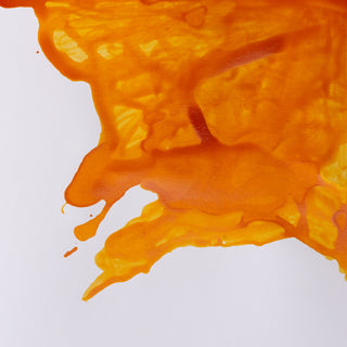 Winsor & Newton Drawing Ink