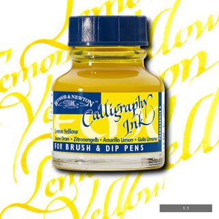 Winsor & Newton Calligraphy Ink
