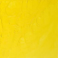 Winsor & Newton WINTON Oil Colour