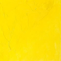 Winsor & Newton WINTON Oil Colour