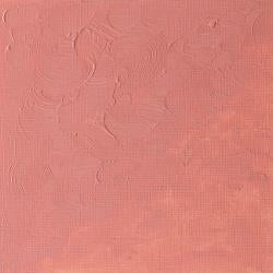 Winsor & Newton WINTON Oil Colour