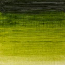 Winsor & Newton WINTON Oil Colour