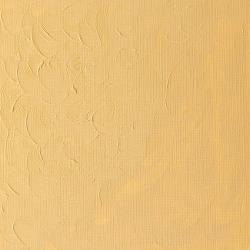 Winsor & Newton WINTON Oil Colour