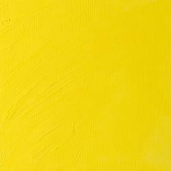 Winsor & Newton Artists Oil Colour (Part 1)