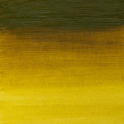 Winsor & Newton Artists Oil Colour (Part 2)