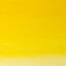 Winsor & Newton Artists Oil Colour (Part 1)