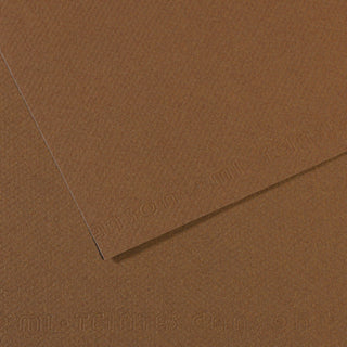 Canson Mi-Teintes Paper 50x65cm