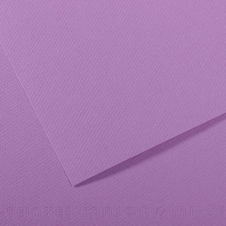 Canson Mi-Teintes Paper 55x75cm