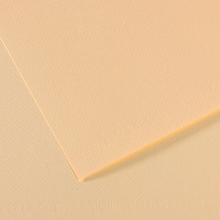 Canson Mi-Teintes Paper 50x65cm