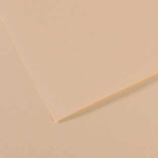 Canson Mi-Teintes Paper 50x65cm