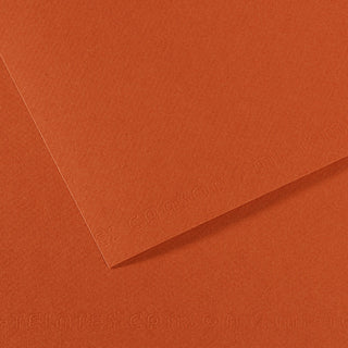 Canson Mi-Teintes Paper 50x65cm