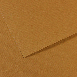 Canson Mi-Teintes Paper 50x65cm