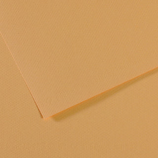 Canson Mi-Teintes Paper 50x65cm