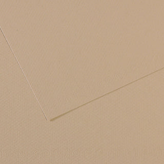 Canson Mi-Teintes Paper 50x65cm