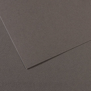 Canson Mi-Teintes Paper 50x65cm
