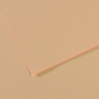 Canson Mi-Teintes Paper 55x75cm