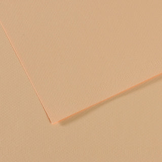 Canson Mi-Teintes Paper 50x65cm