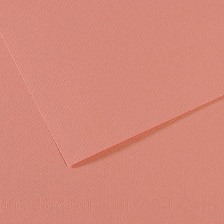 Canson Mi-Teintes Paper 50x65cm