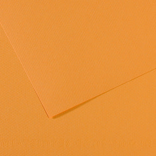 Canson Mi-Teintes Paper 50x65cm