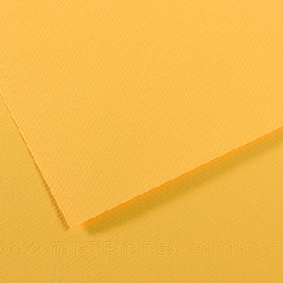 Canson Mi-Teintes Paper 55x75cm