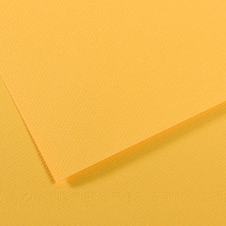 Canson Mi-Teintes Paper 50x65cm