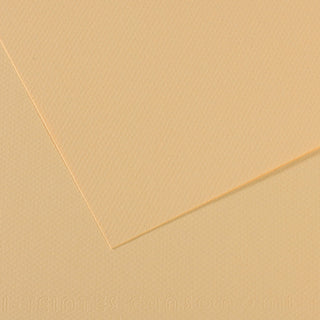 Canson Mi-Teintes Paper 50x65cm