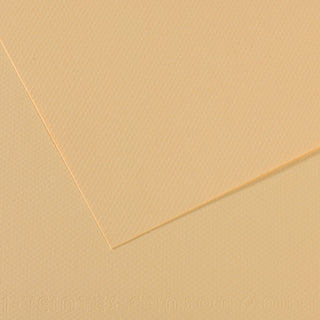 Canson Mi-Teintes Paper 55x75cm