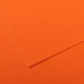 Canson Mi-Teintes Paper 50x65cm