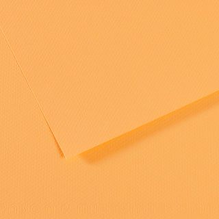 Canson Mi-Teintes Paper 55x75cm
