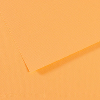 Canson Mi-Teintes Paper 50x65cm