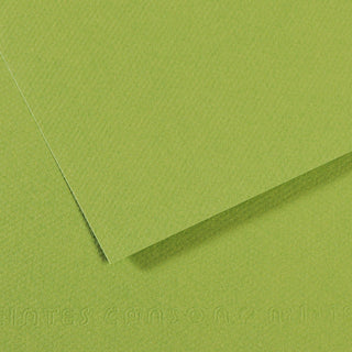 Canson Mi-Teintes Paper 50x65cm