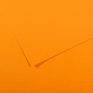 Canson Mi-Teintes Paper 55x75cm