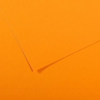 Canson Mi-Teintes Paper 50x65cm