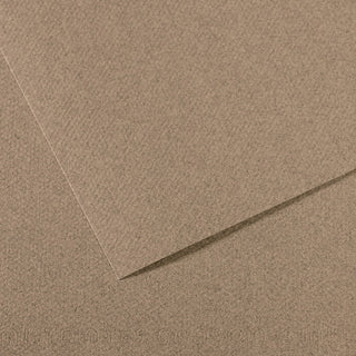 Canson Mi-Teintes Paper 50x65cm