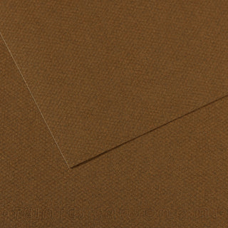Canson Mi-Teintes Paper 55x75cm