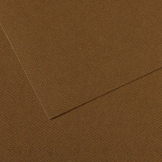 Canson Mi-Teintes Paper 50x65cm