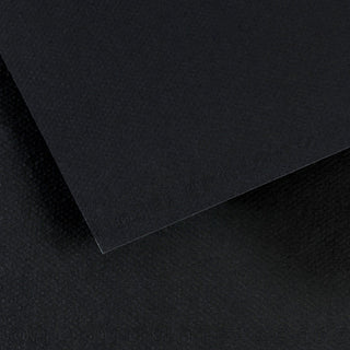 Canson Mi-Teintes Paper 50x65cm
