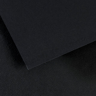 Canson Mi-Teintes Paper 55x75cm