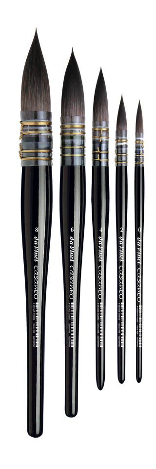 da Vinci CASANEO Series 498 Pointed Wash Brushes
