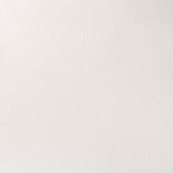 Winsor & Newton Professional Watercolour WHOLE PANS