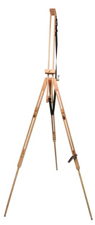 Daler Rowney ST PAULS Easel