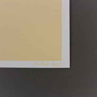 Canson Mi-Teintes TOUCH Paper Sheets