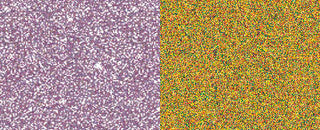 Jacquard Pearl Ex Pigment - 0.5/0.75oz Pots
