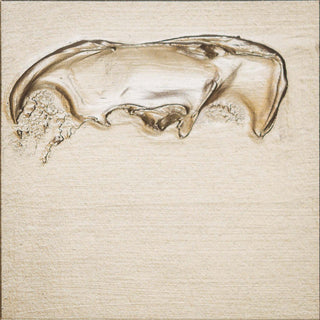 C. Roberson Liquid Metal 30ml