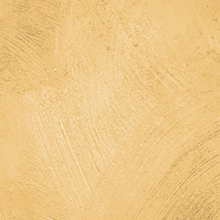 Polyvine Metallic Paint