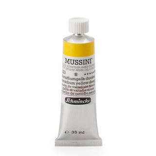 Schmincke MUSSINI Artists Resin Oil Colour