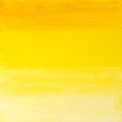 Winsor & Newton ARTISTS Oil Colour